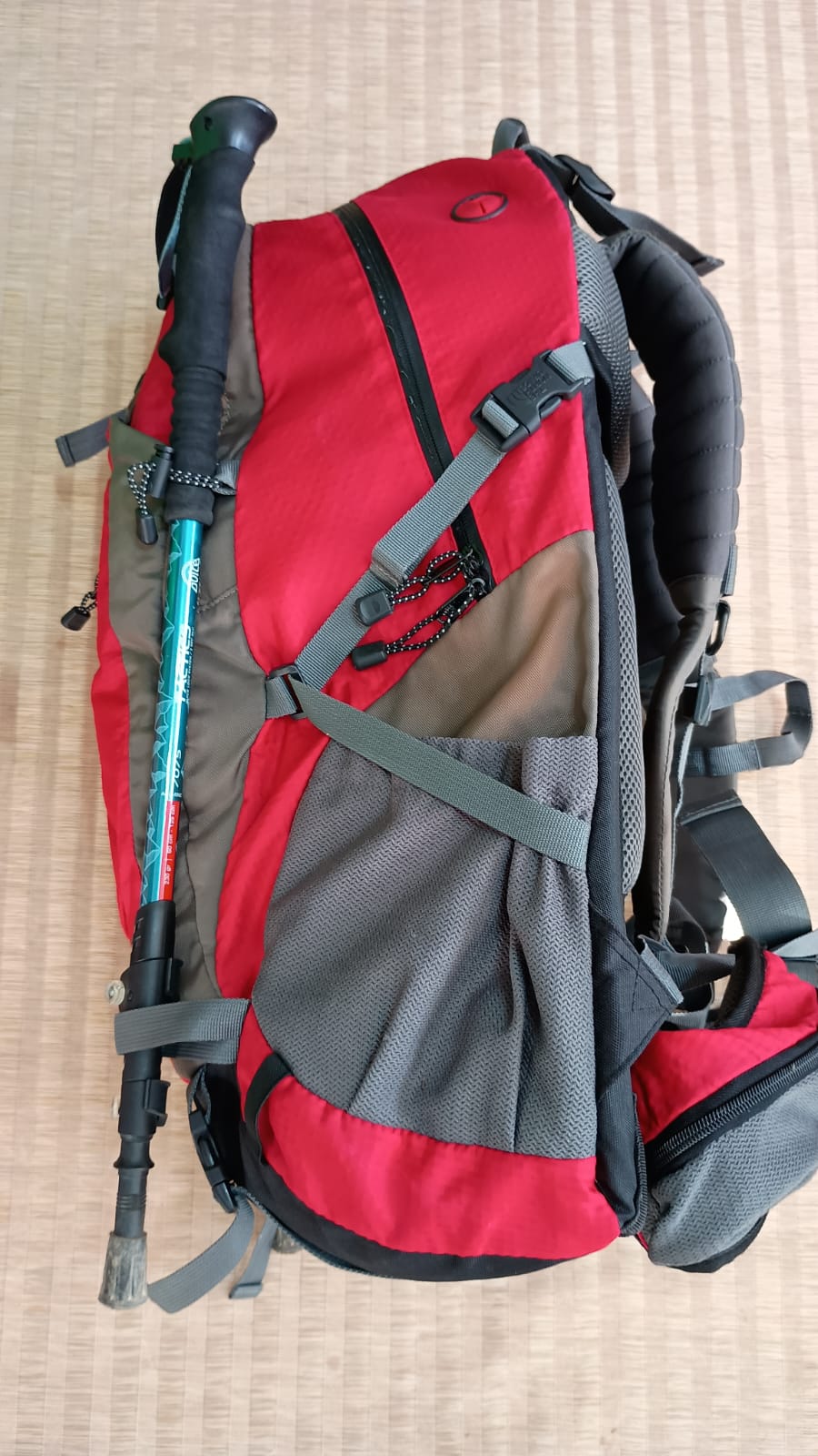 THE NORTH FACE Mochila trekking Modelo Electron 50