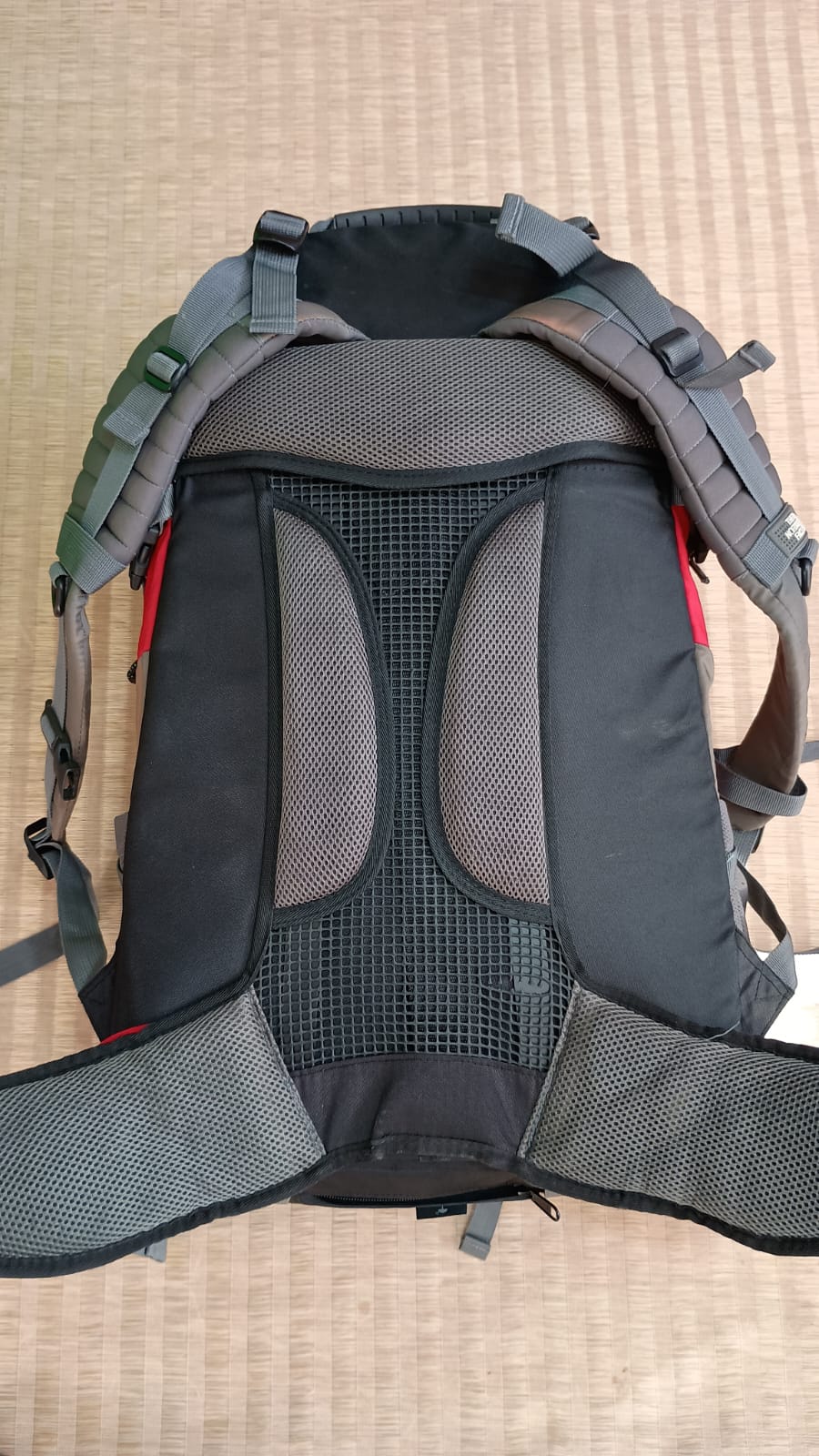 THE NORTH FACE Mochila trekking Modelo Electron 50